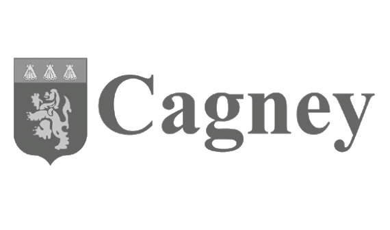 Custom Software and Mobile Apps - Cagney Contract Cleaning